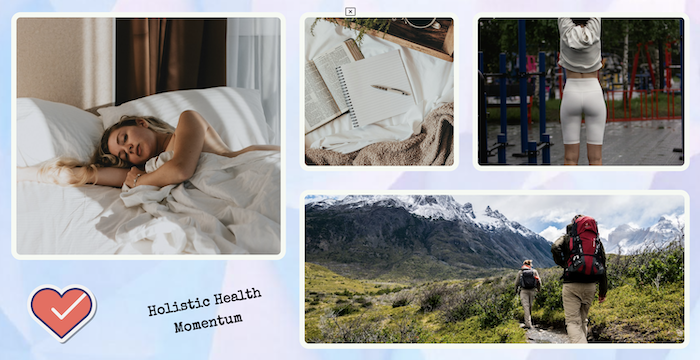 Holistics Healts Momentum